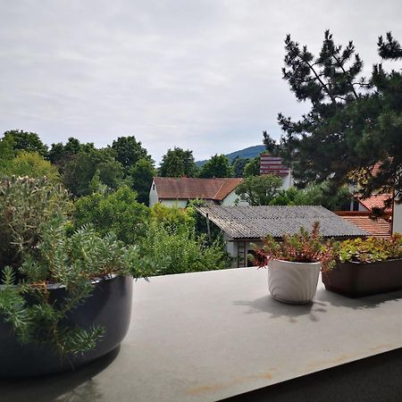 Spacy Apartment Next To The Center Of Graz With Terrasse Extérieur photo