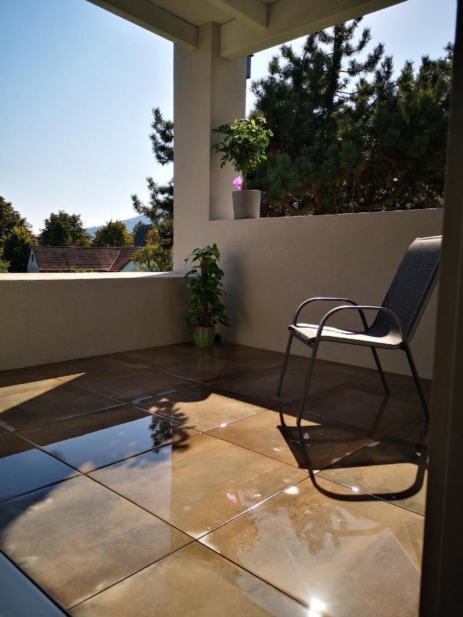 Spacy Apartment Next To The Center Of Graz With Terrasse Extérieur photo